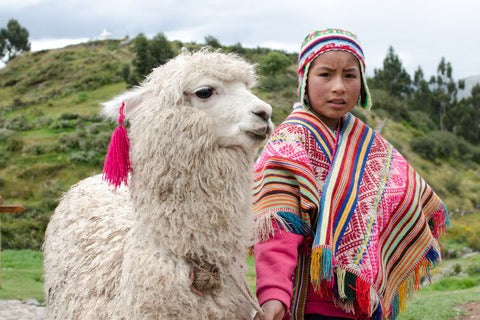 Alpaca Threadz Preorders